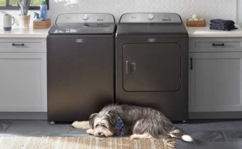 Dog laying in front of a gray Maytag® top load washer and dryer pair